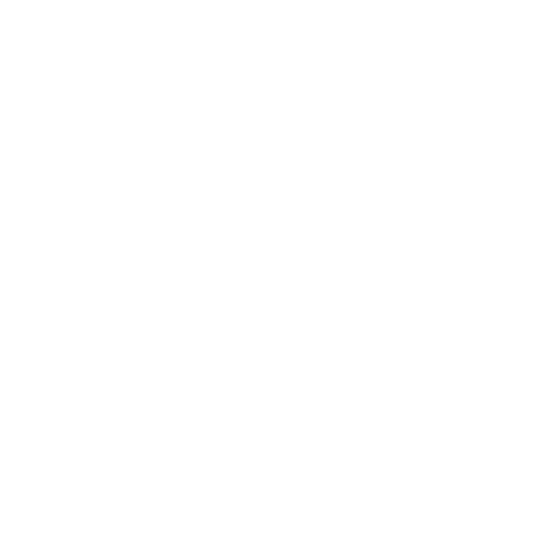 Toyota Logo